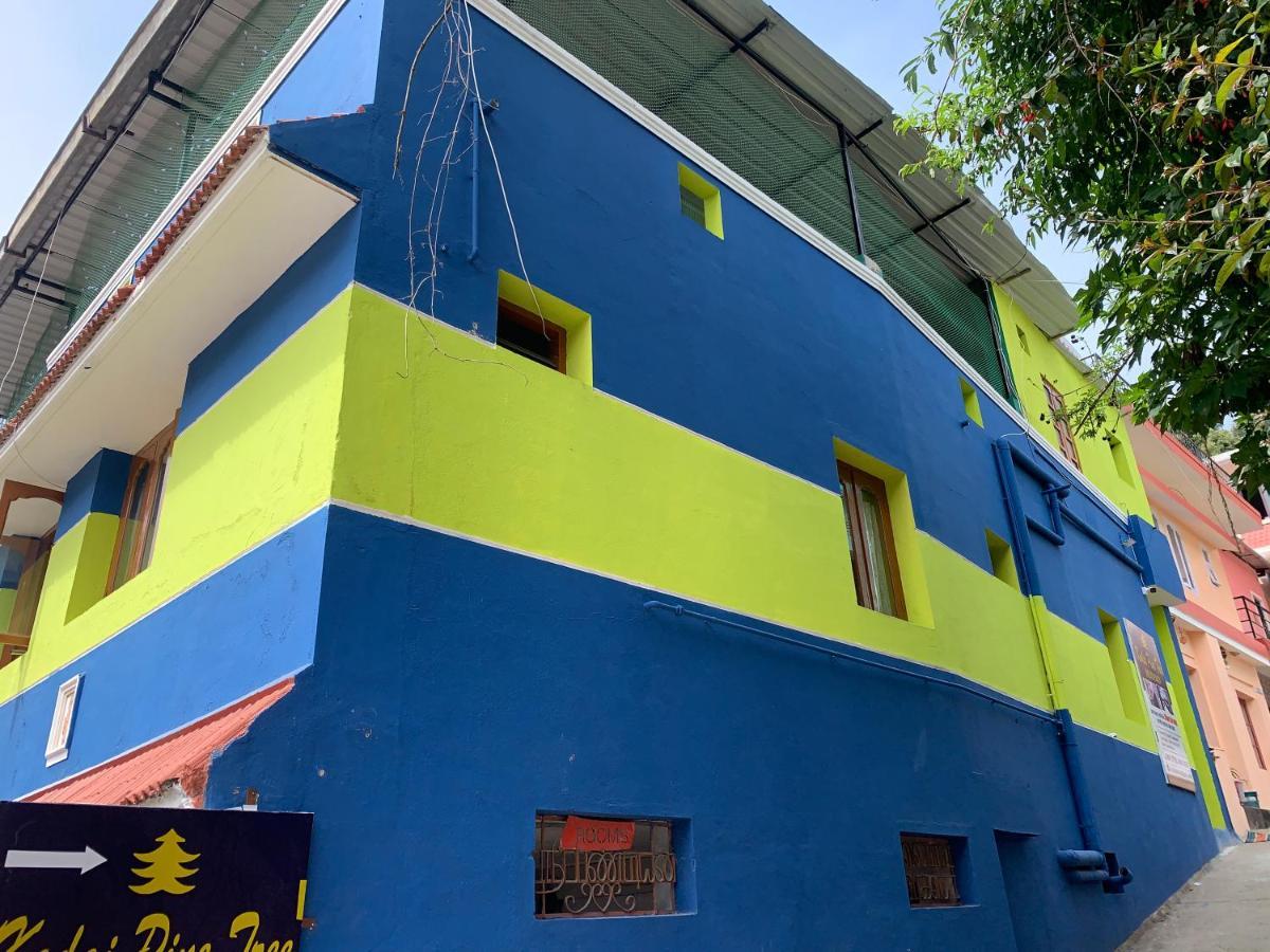 Kodai Pinetree Residency 科代卡纳尔 外观 照片